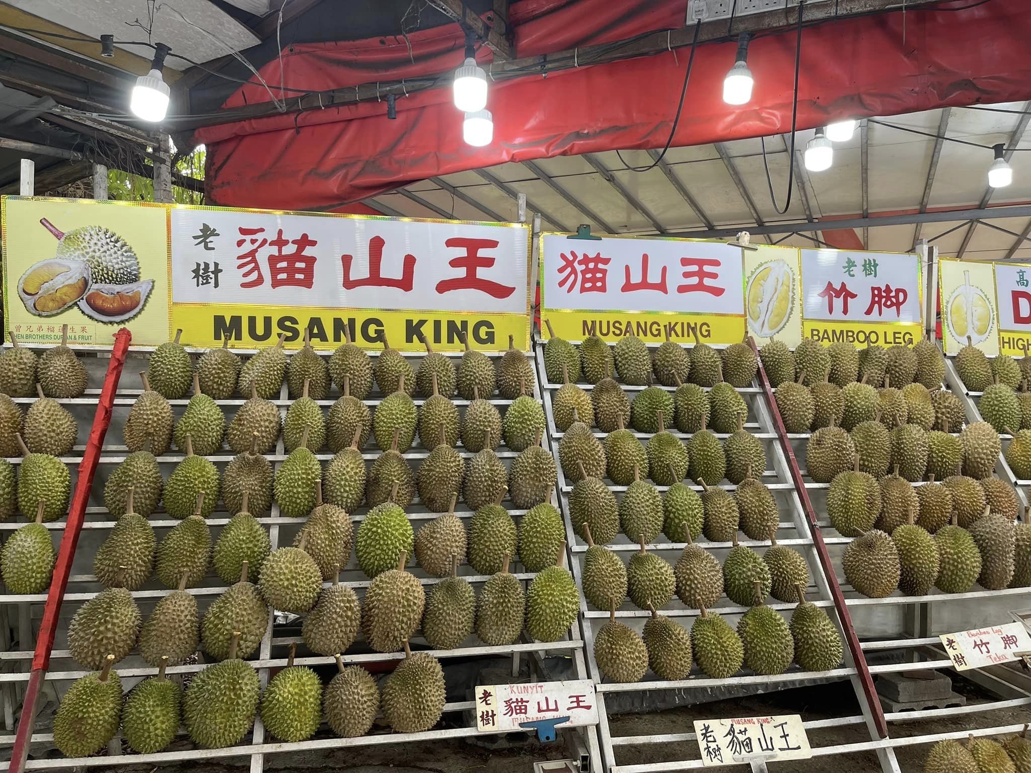 lokasi makan durian 