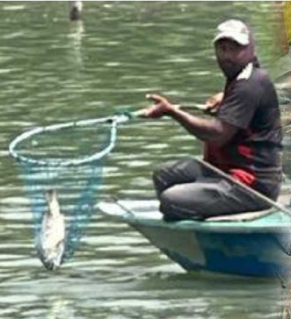 kolam ikan diracun