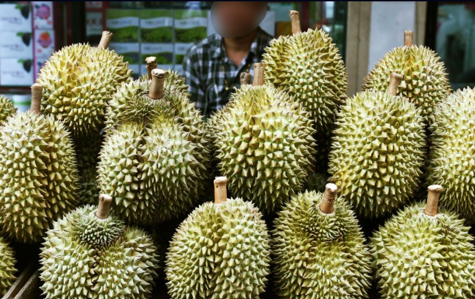 kedai durian