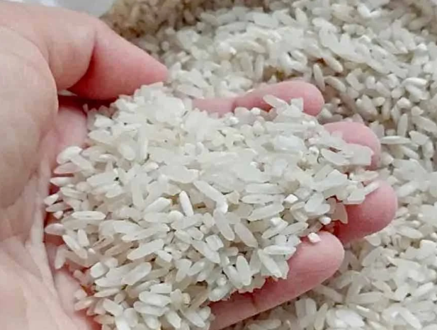 harga beras putih